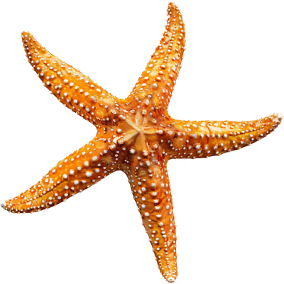 vector img