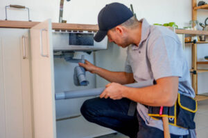 plumbers maui