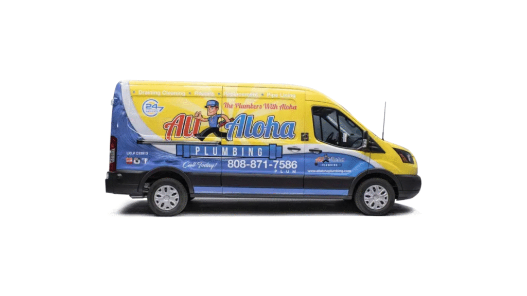 What is Considered a Plumbing Emergency in Hilo? | All Aloha Plumbing